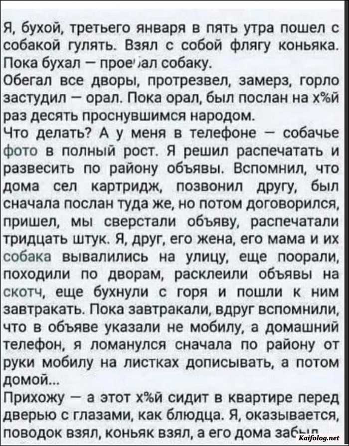 картинка прикол