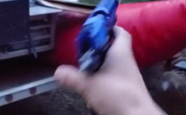 прикольная гифка