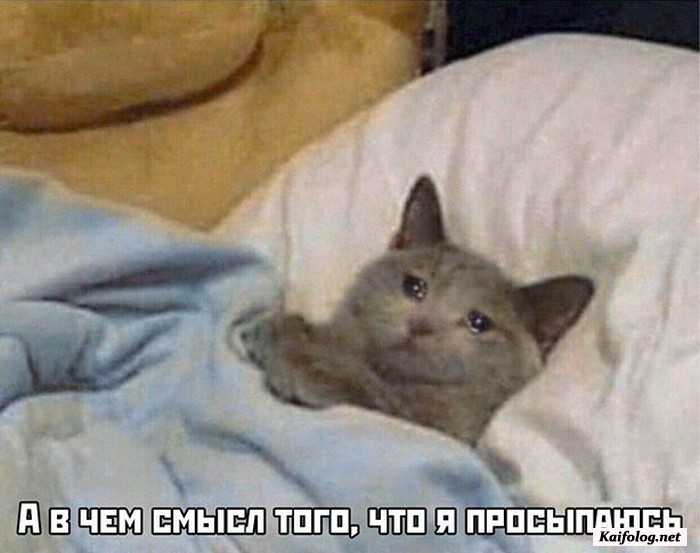 картинка с приколом