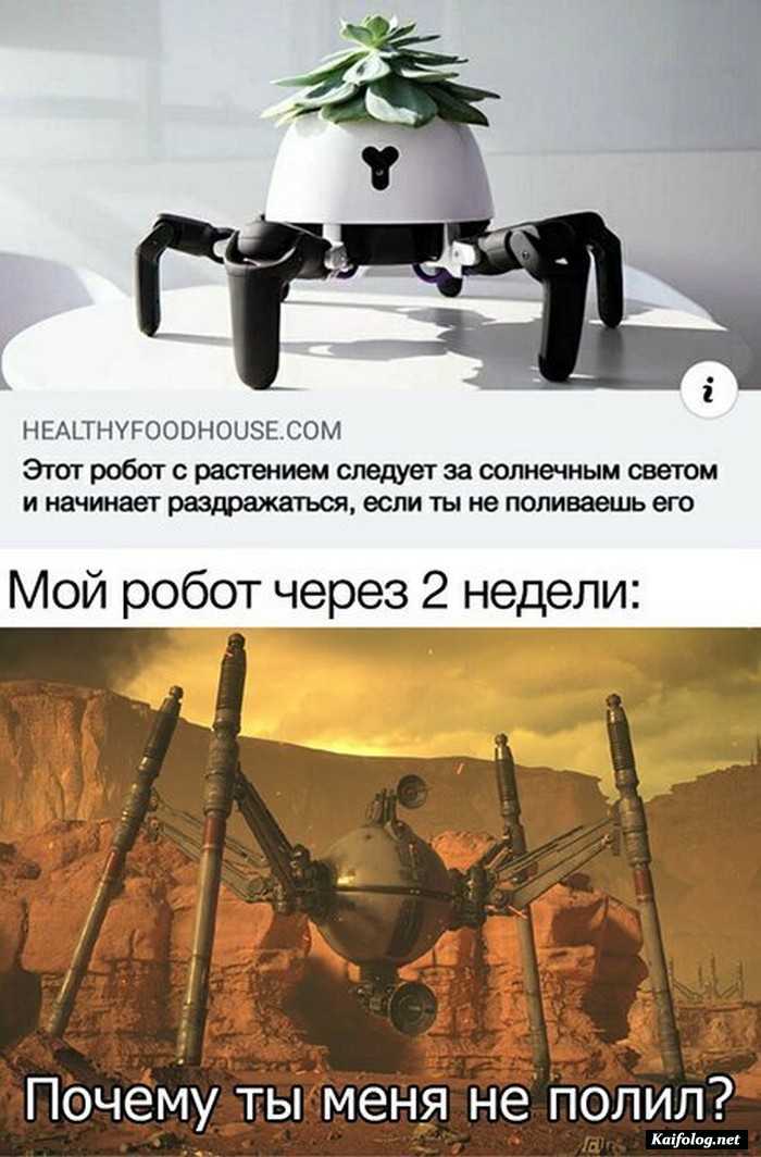 картинка с приколом