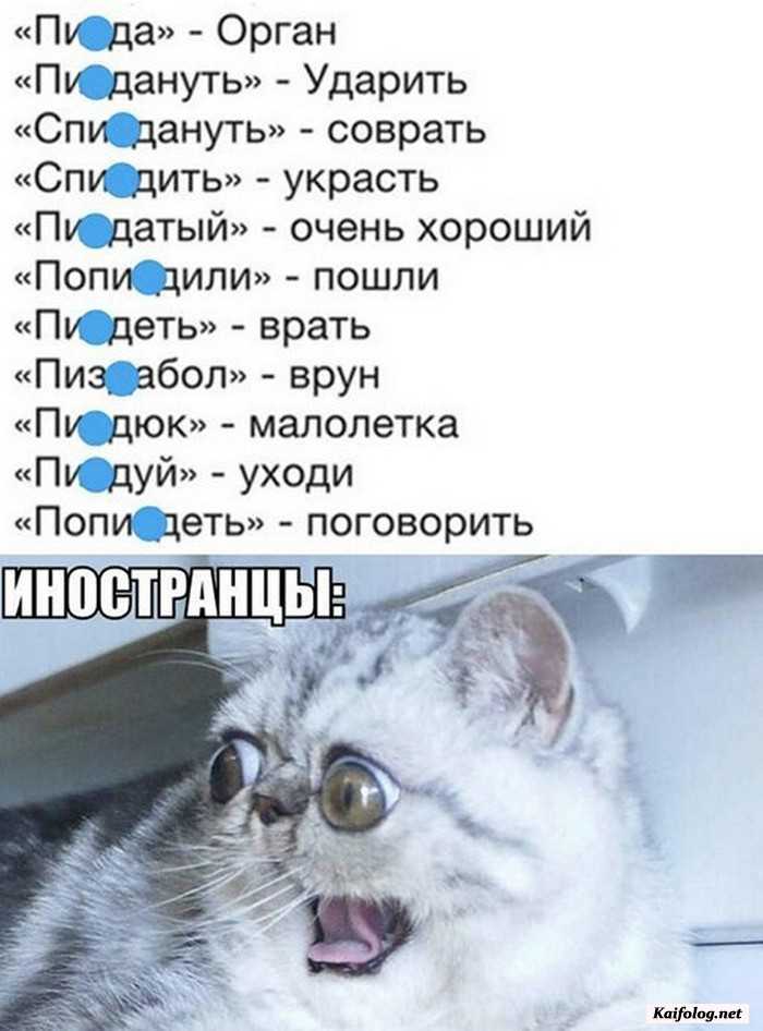 картинка с приколом