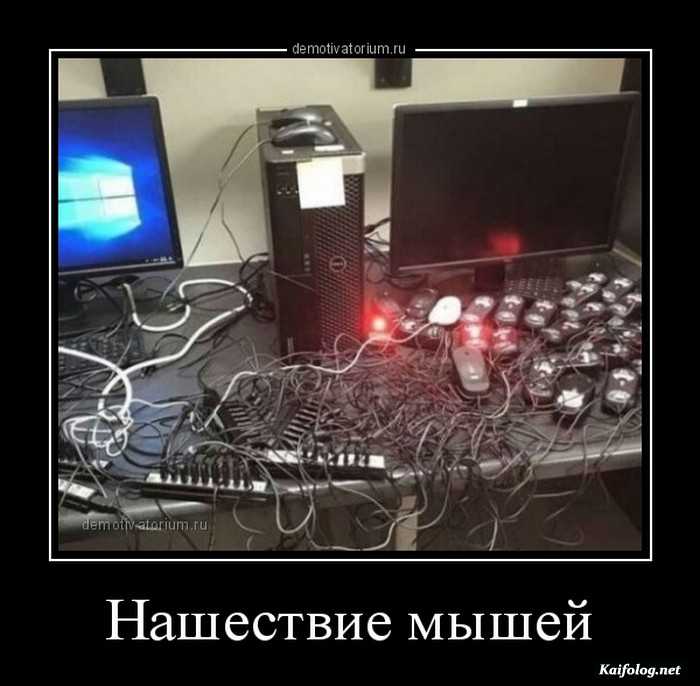 картинка с надписью демотиватор