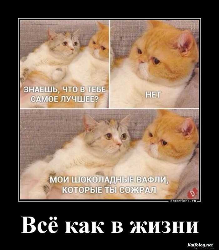 картинка с надписью демотиватор