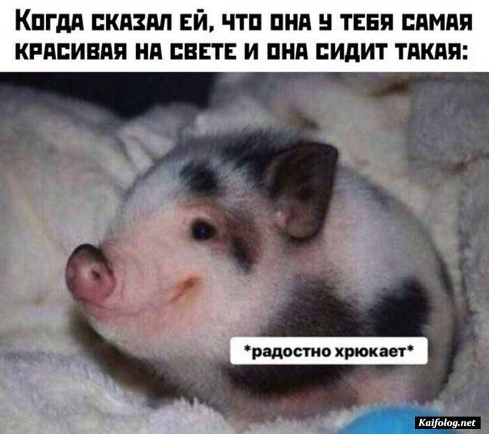 картинка прикол