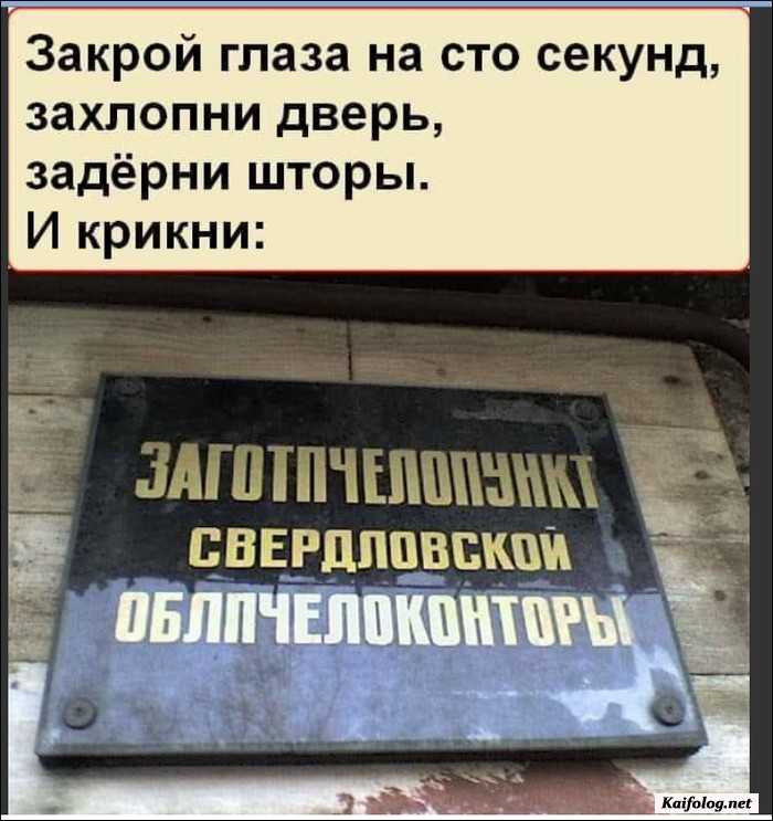 картинка прикол