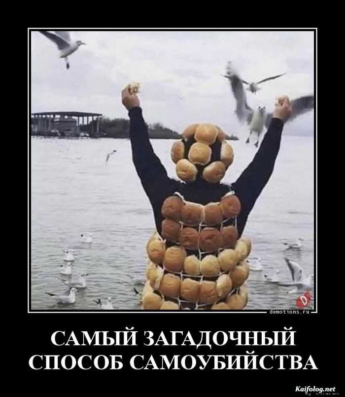 смешной демотиватор