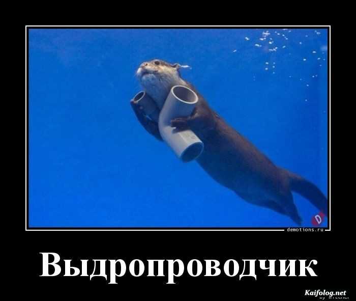 смешной демотиватор