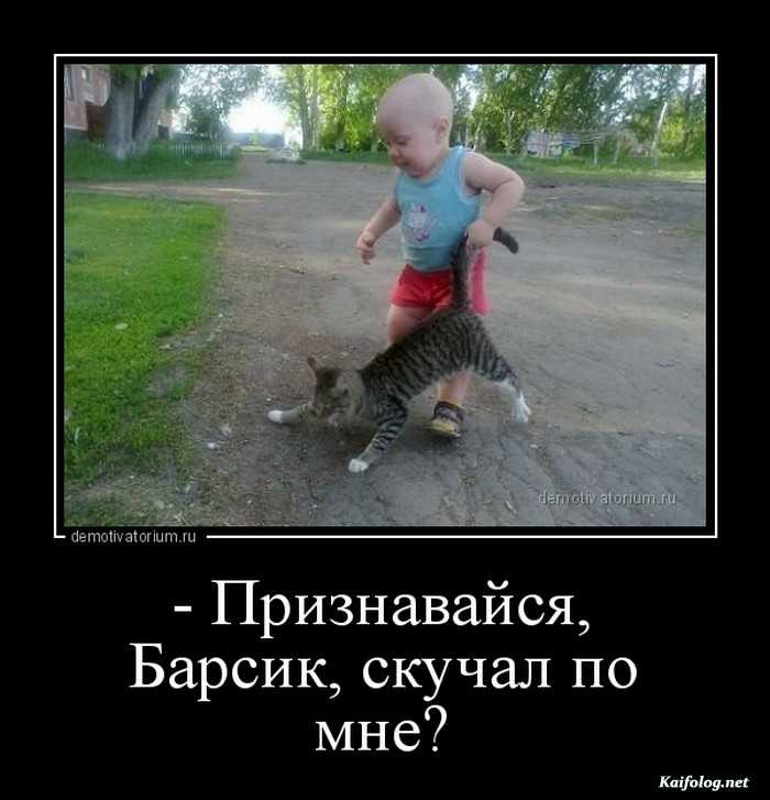 смешной демотиватор