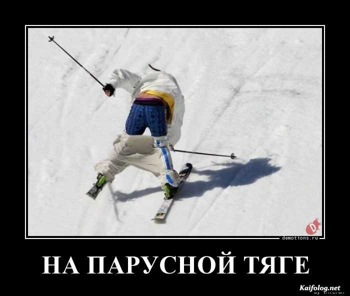прикольный демотиватор