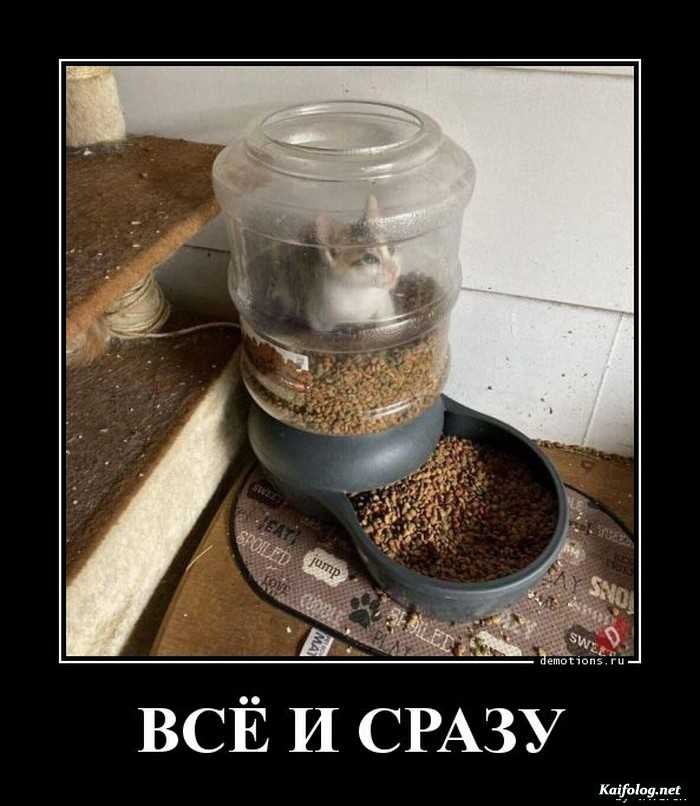 прикольный демотиватор