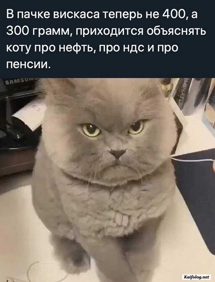 прикольная картинка