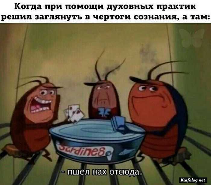 прикольная картинка