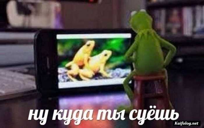 прикольная картинка