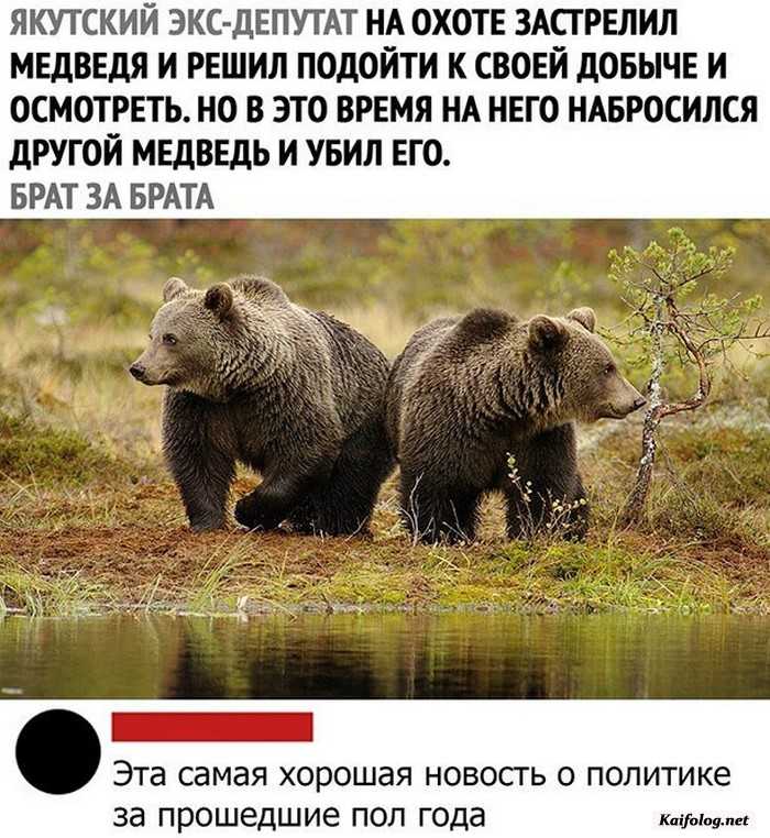 прикольная картинка