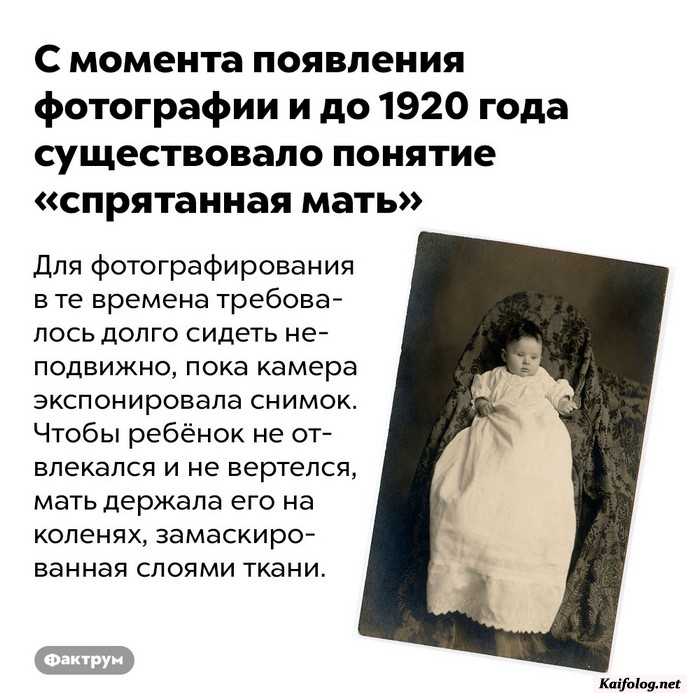 картинка с фактом