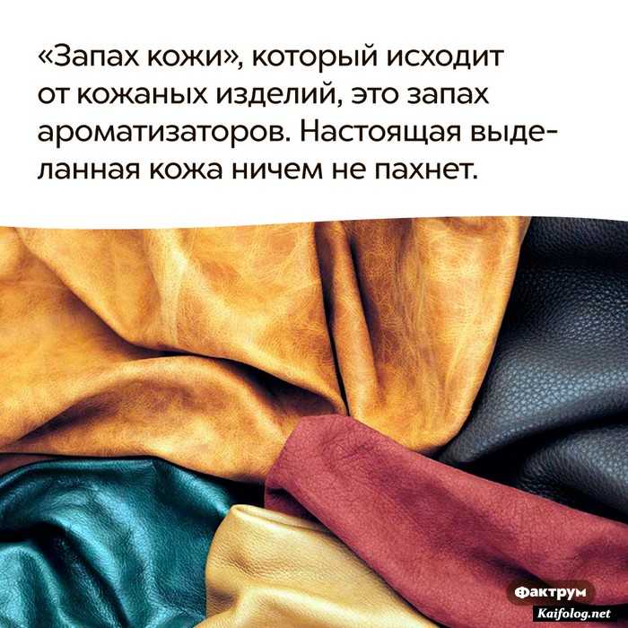 картинка с фактом