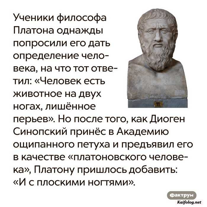 картинка с фактом