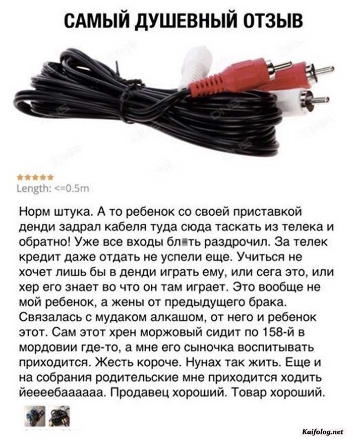 смешная картинка
