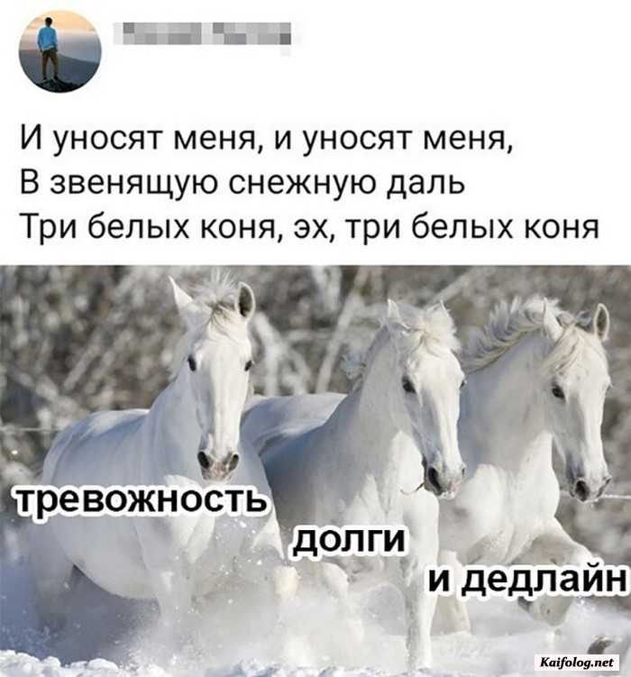 смешная картинка