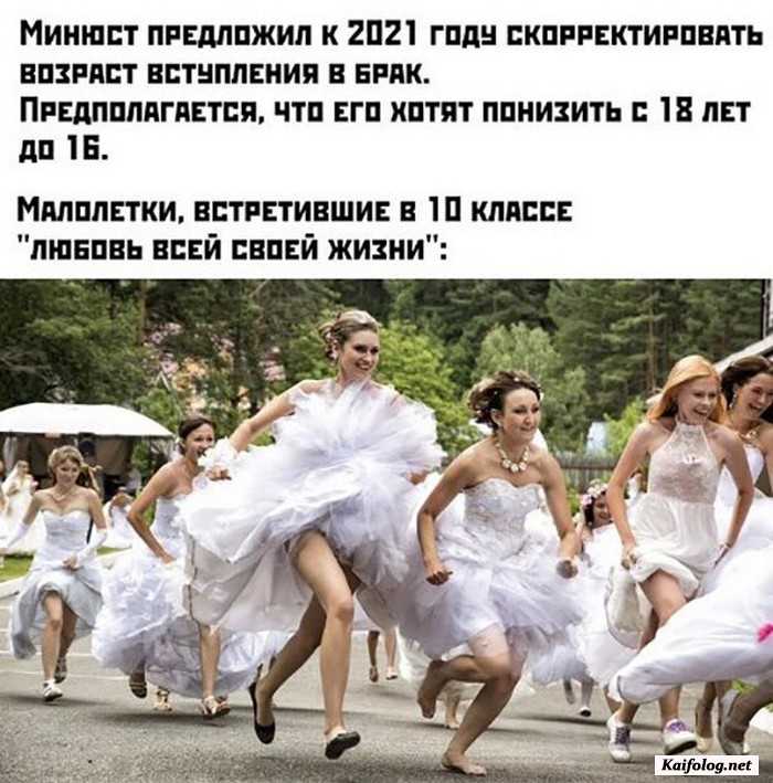 смешная картинка
