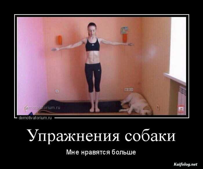 забавный демотиватор