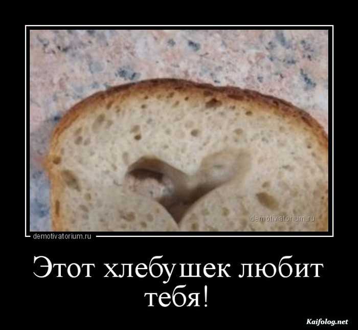 забавный демотиватор