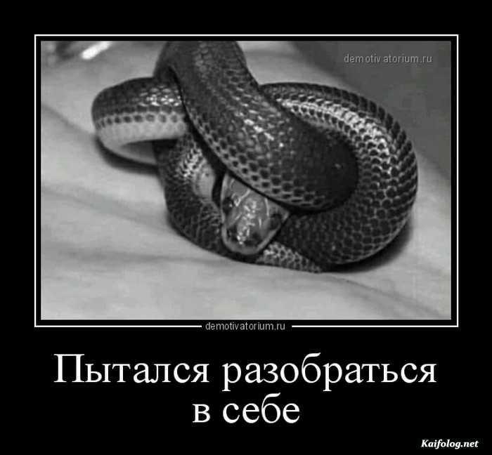 забавный демотиватор