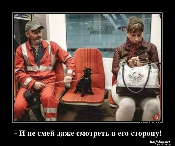 забавный демотиватор