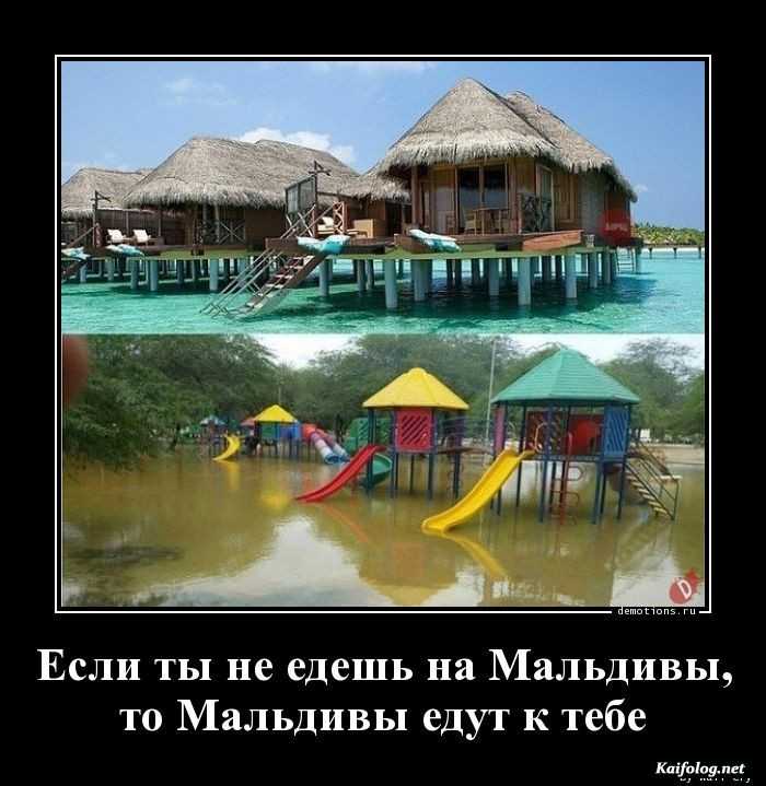 забавный демотиватор