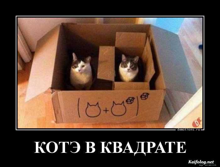 забавный демотиватор