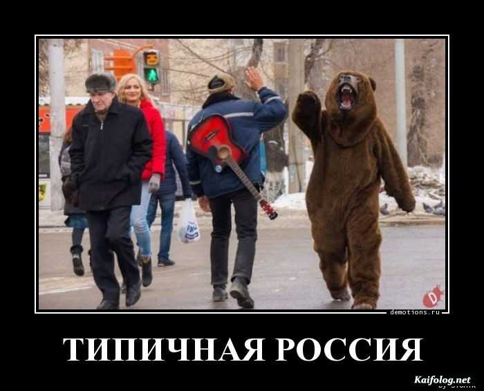 забавный демотиватор