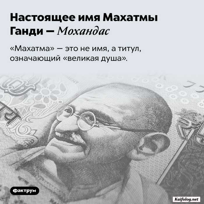 интересный факт картинка