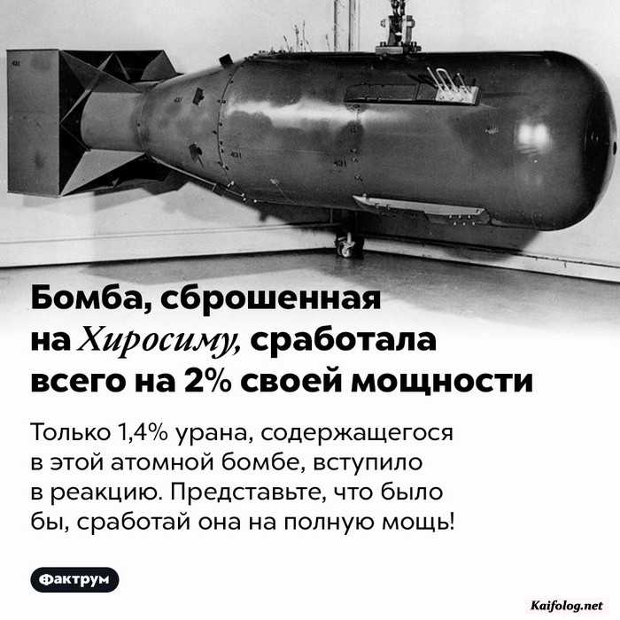 интересный факт картинка