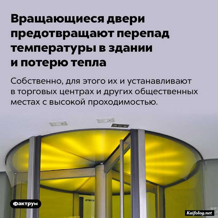 интересный факт картинка