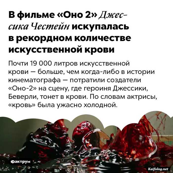 интересный факт картинка
