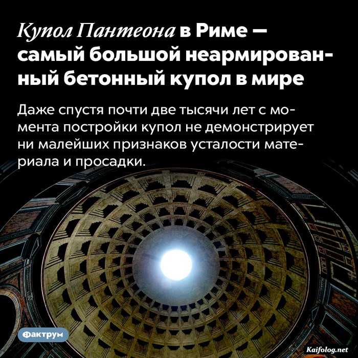 интересный факт картинка