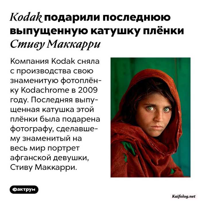 интересный факт картинка