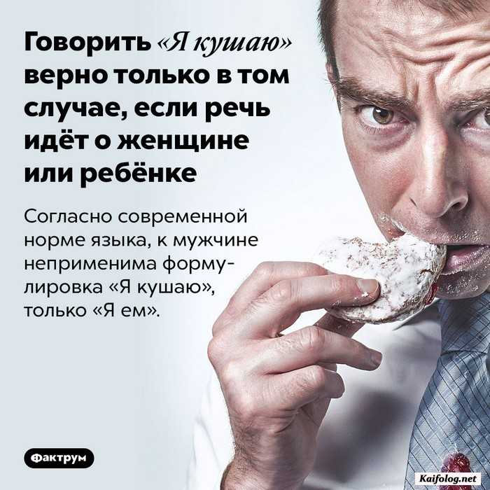 интересный факт картинка