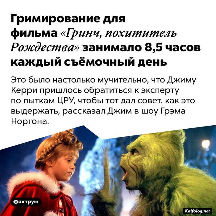 интересный факт картинка