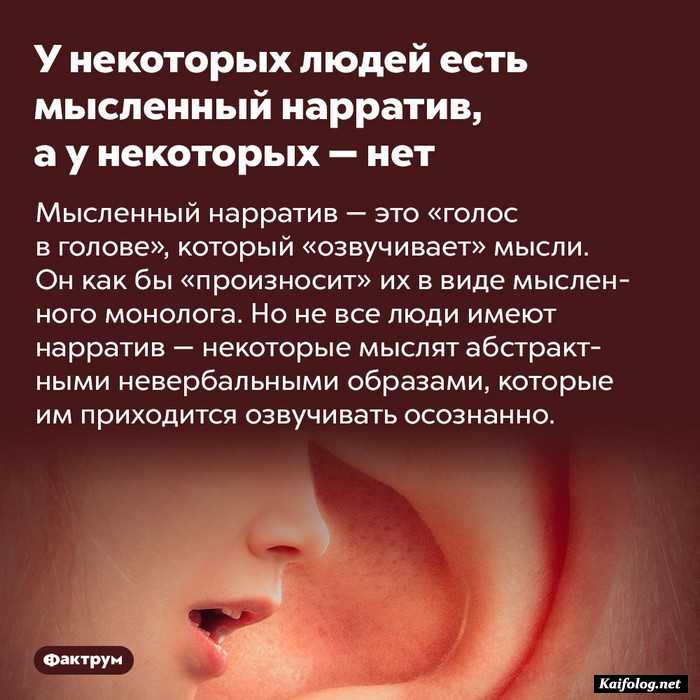 интересный факт картинка