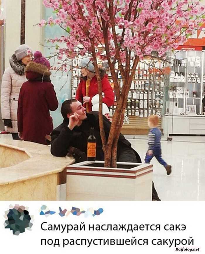 прикольная фотография