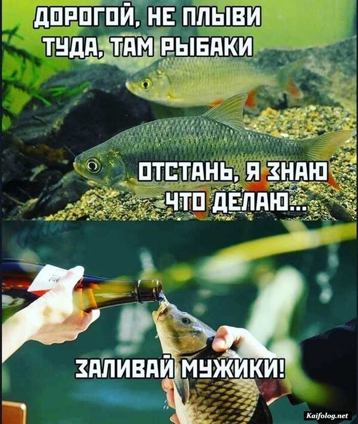 прикольная картинка