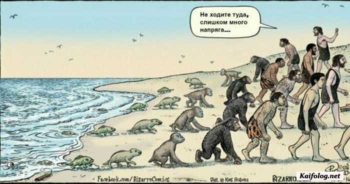прикольная картинка