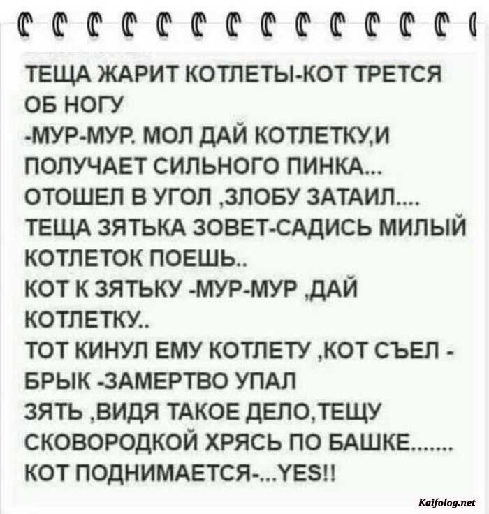 прикольная картинка