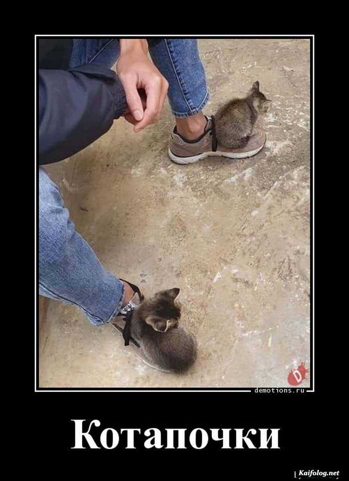 прикольный демотиватор