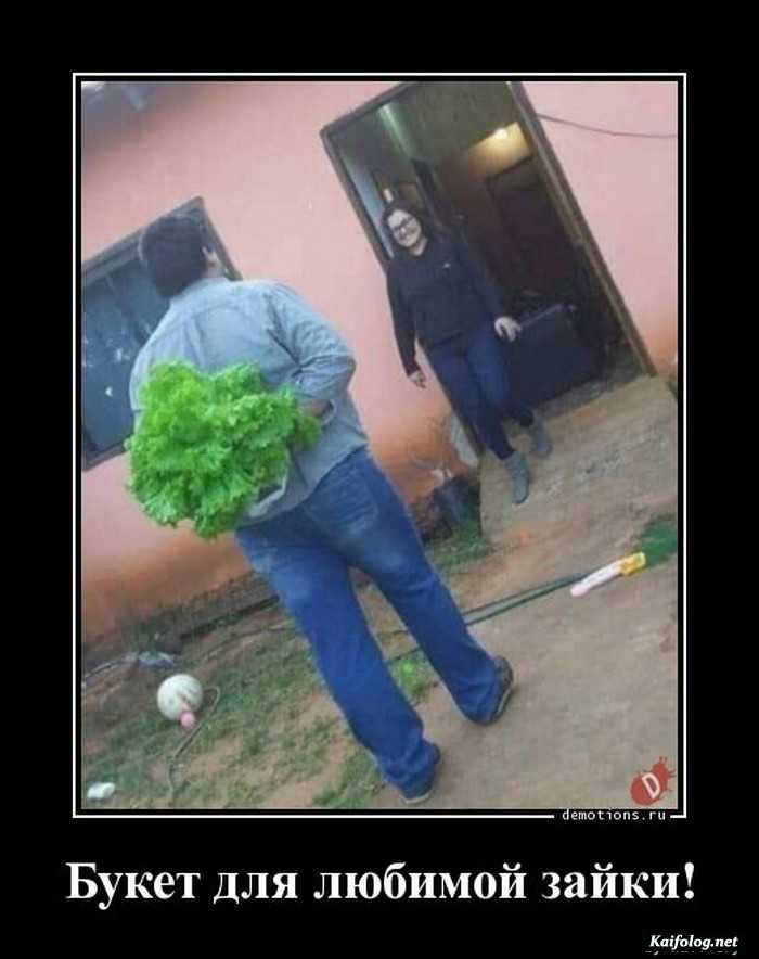 прикольный демотиватор