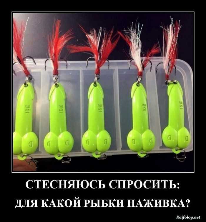 прикольный демотиватор