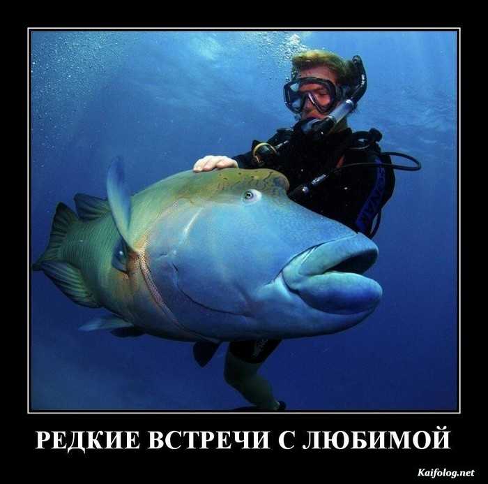 картинка с демотиватором