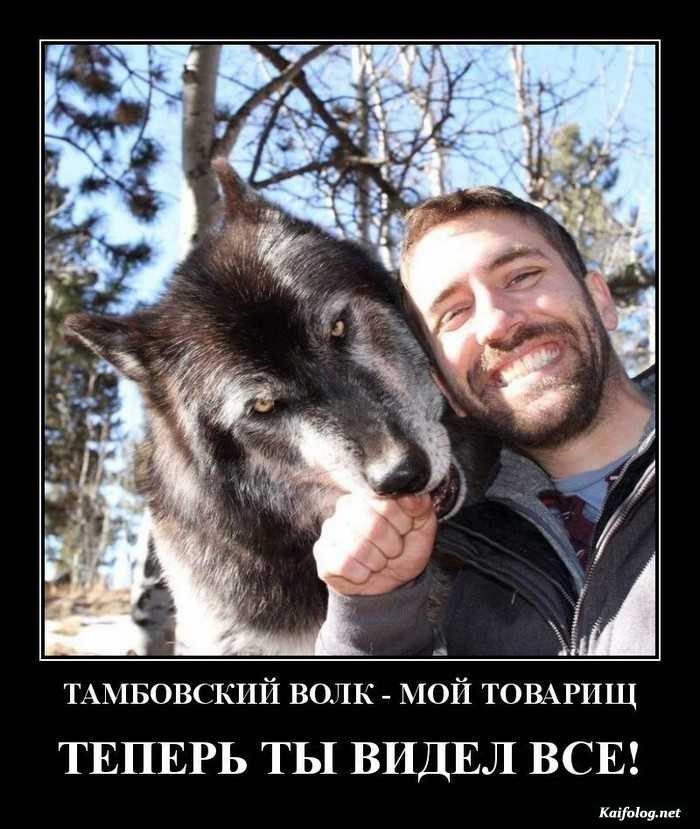 картинка с демотиватором