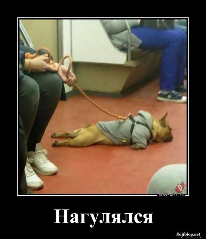 картинка с демотиватором